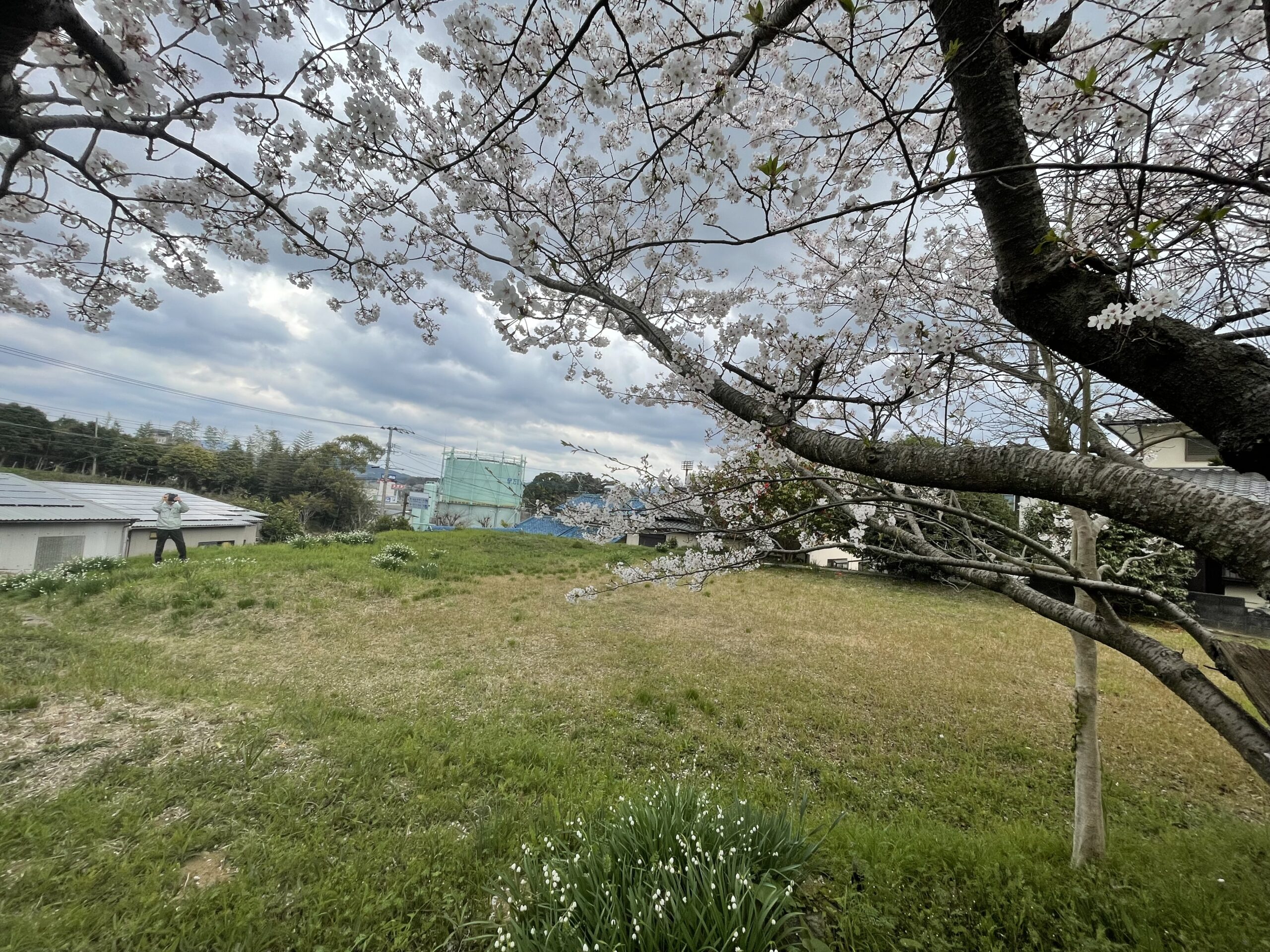 伊万里市 二里町大里甲（伊万里駅）